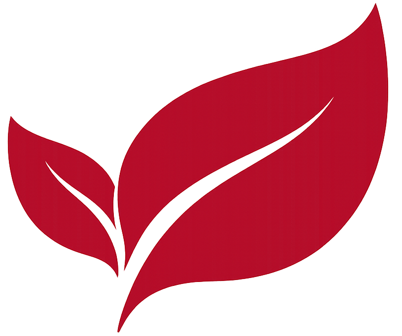 ChatGPT Image Feb 20, 2026, 01_51_35 PM