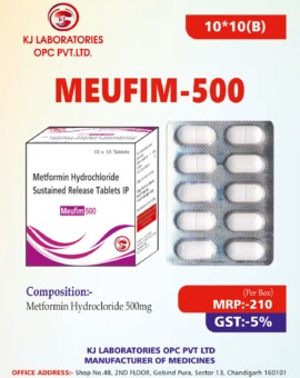 Metformin Hydrochloride Sustained Release Tablets IP